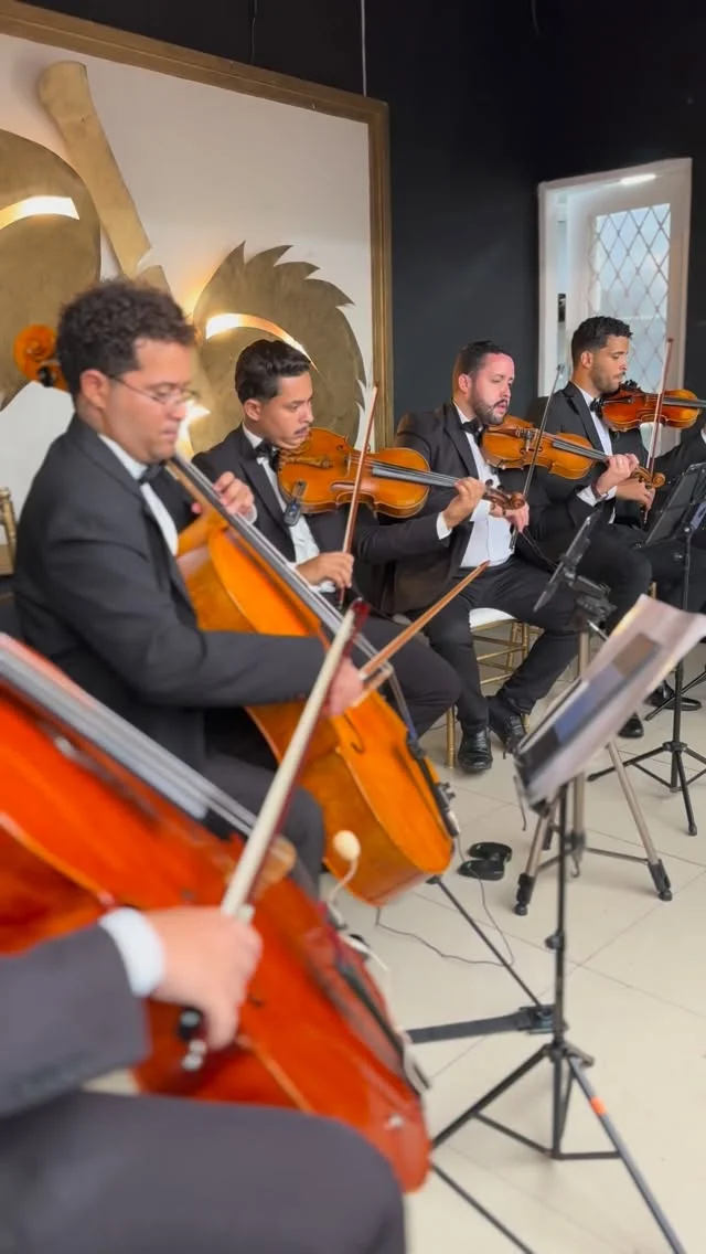 Cordas ao vivo com violinos e violoncelos em cerimônia